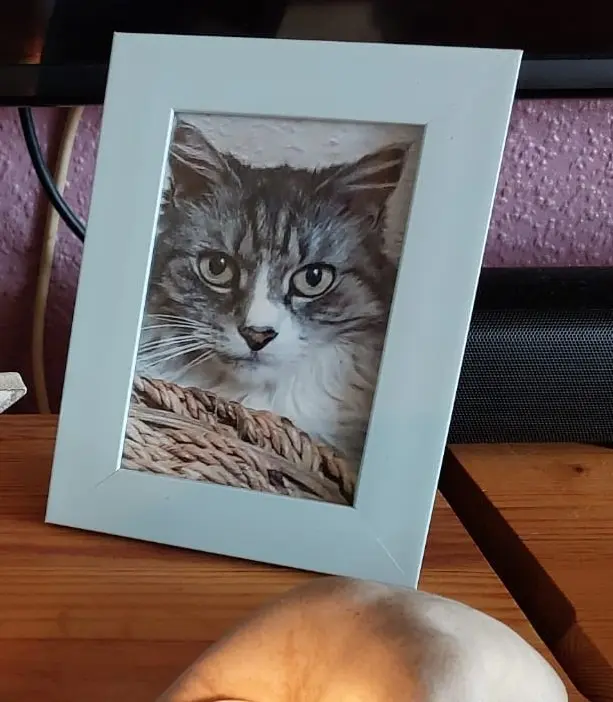 Condolence image of Elisabeth an Marple