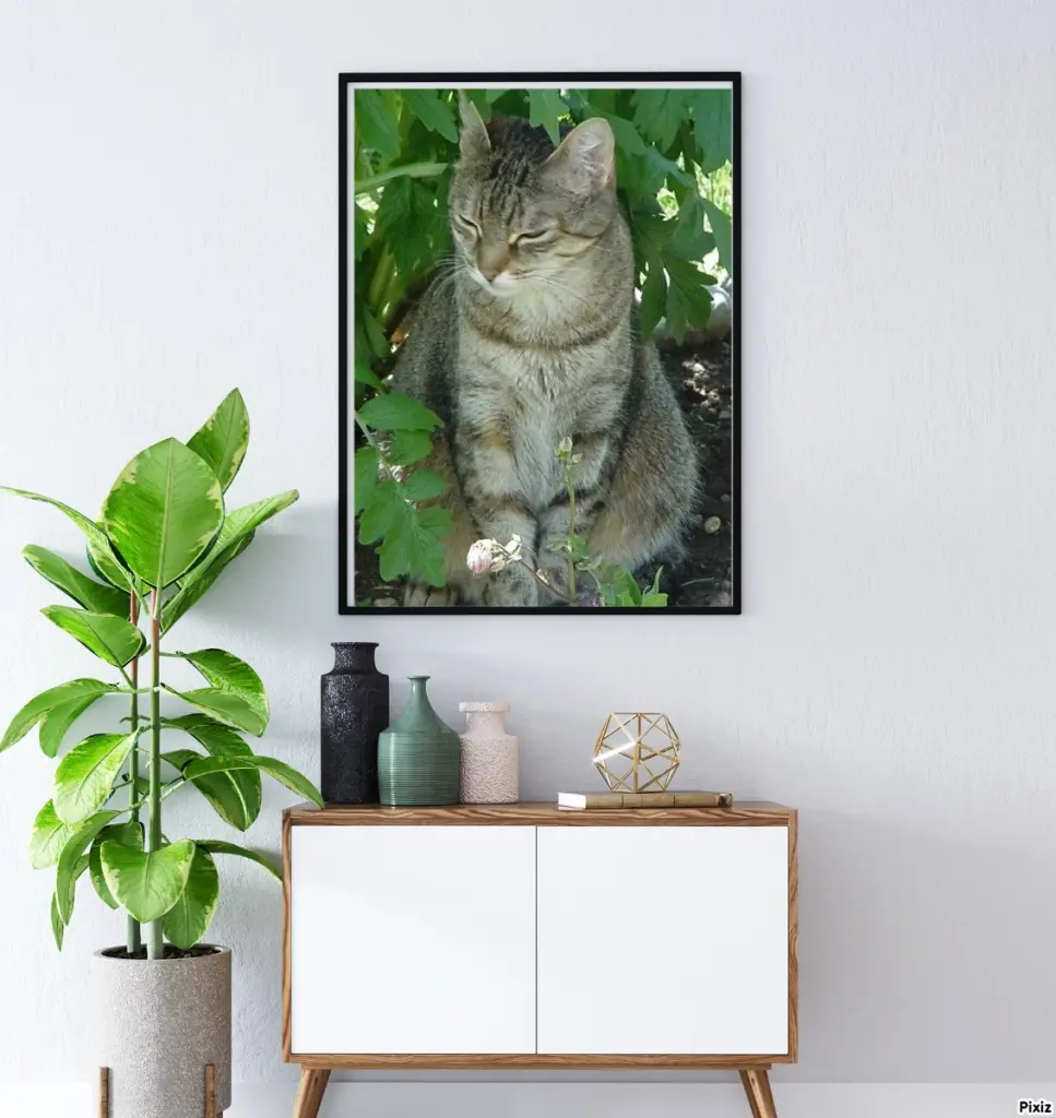 Condolence image of Patricia mit Bunny ❤