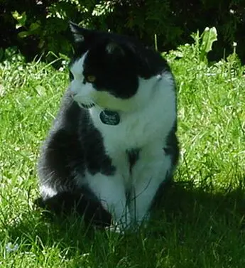 Condolence image of für den König der Zwerge