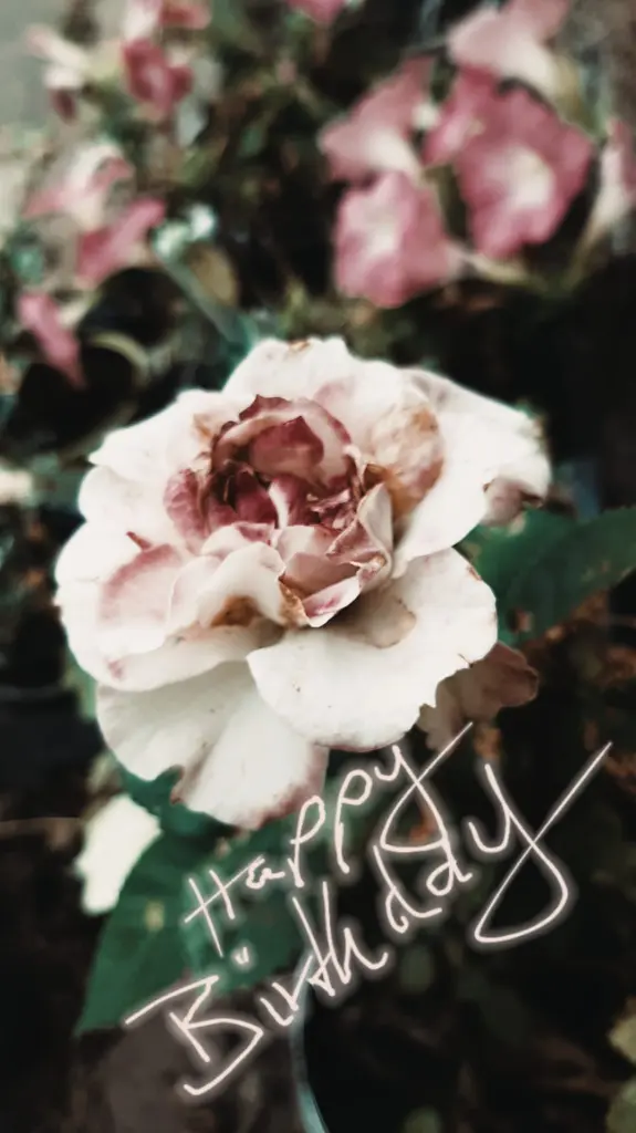 Condolence image of An Arafat, Marpeli und Elisabeth