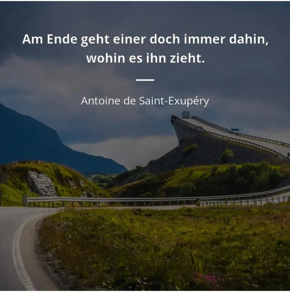 Condolence image of Pauline für das neue Sternchen Neko ❤️