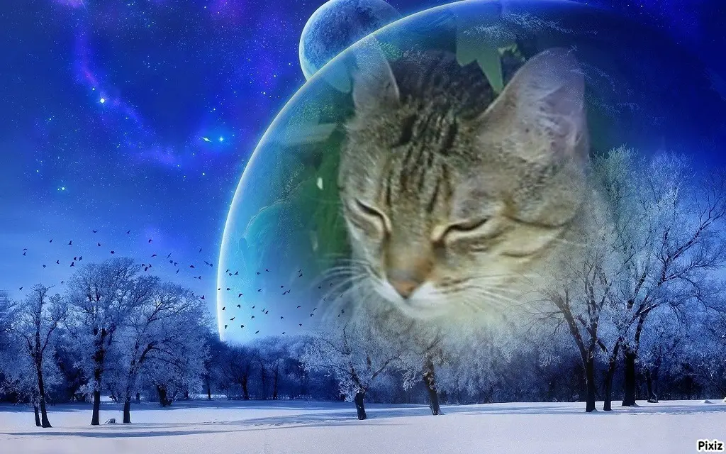 Condolence image of Patricia mit Bunny ❤