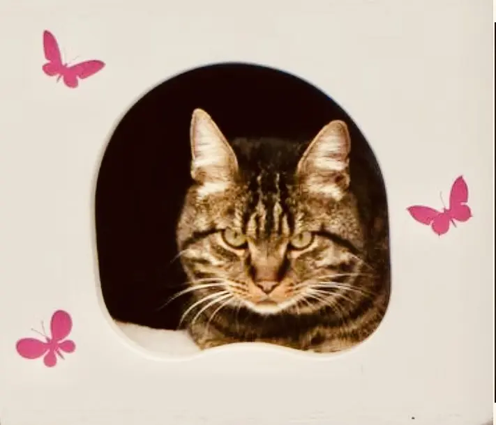 Condolence image of Ravi 