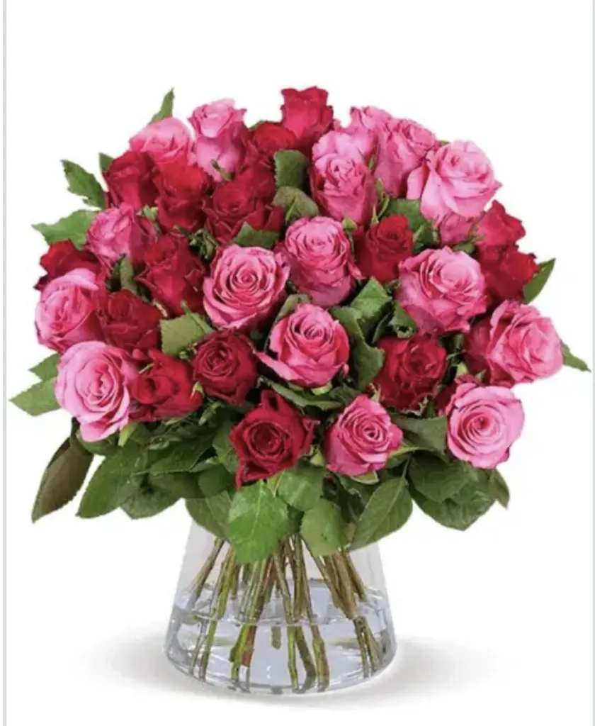 Condolence image of An Marple und Mama Elisabeth❤️