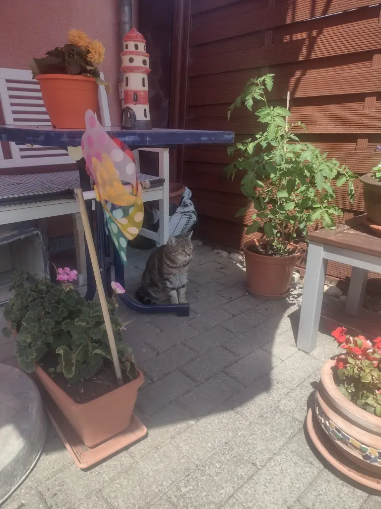 Condolence image of Schnucky