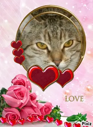 Condolence image of Tanja mit Timmy im Herzen