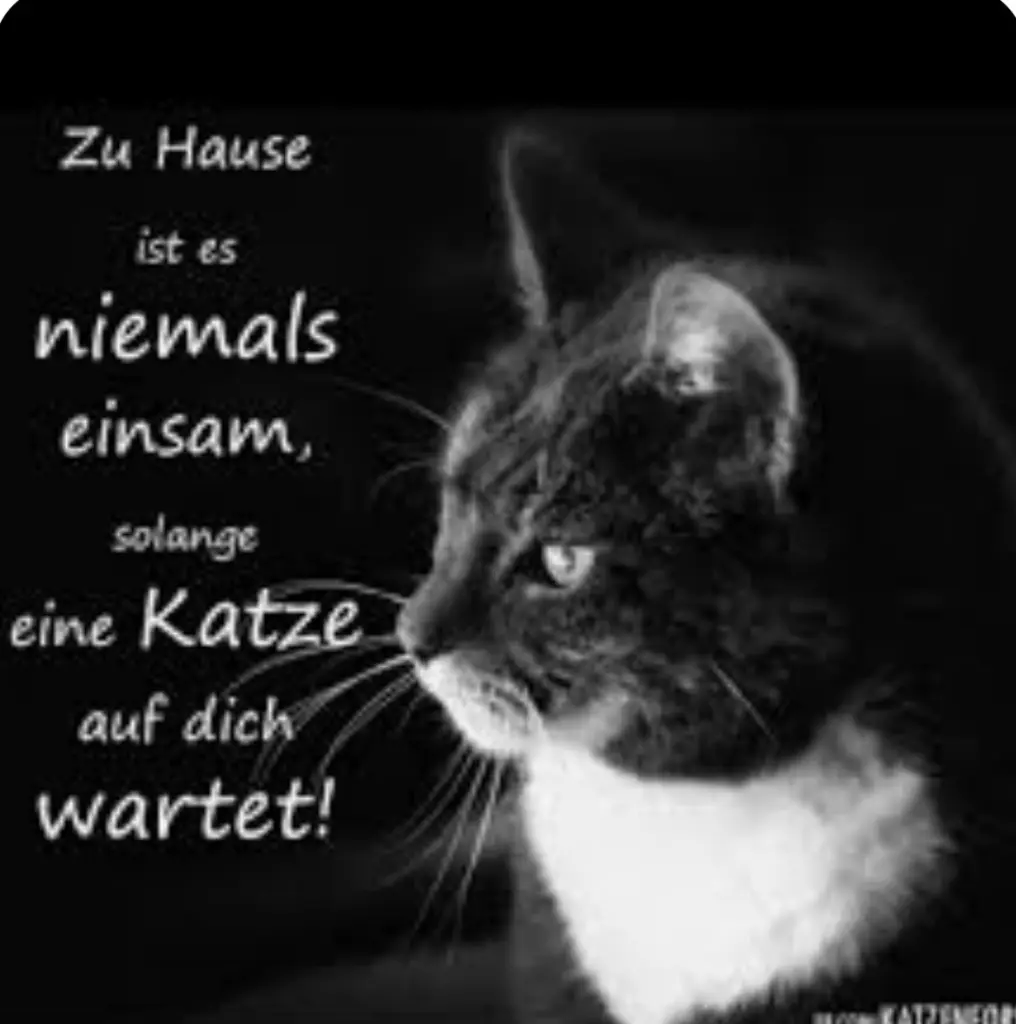 Condolence image of An Marpeli und Mama Elisabeth