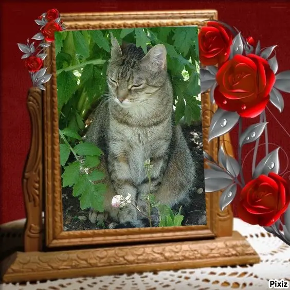 Condolence image of Patricia mit Bunny ❤