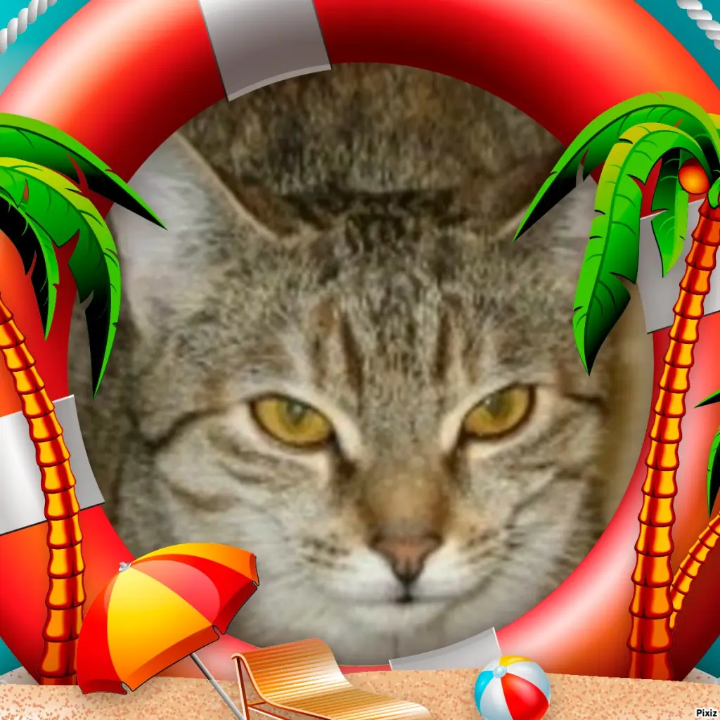 Condolence image of Tanja mit Timmy im Herzen