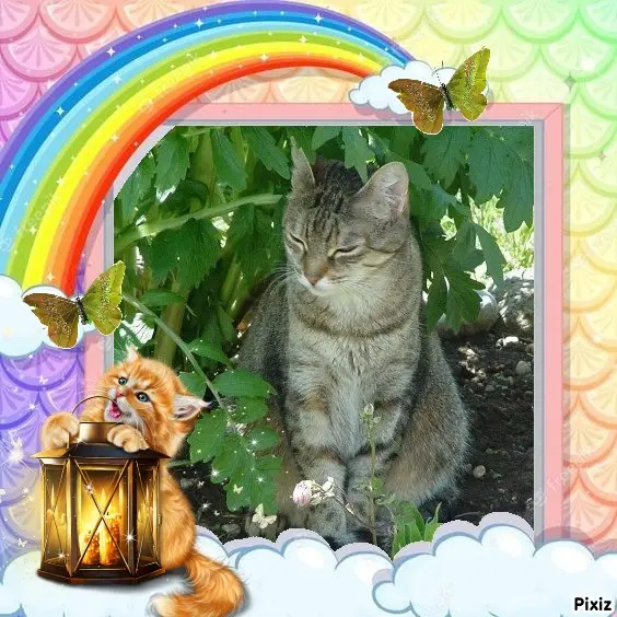 Condolence image of Patricia mit Bunny ❤