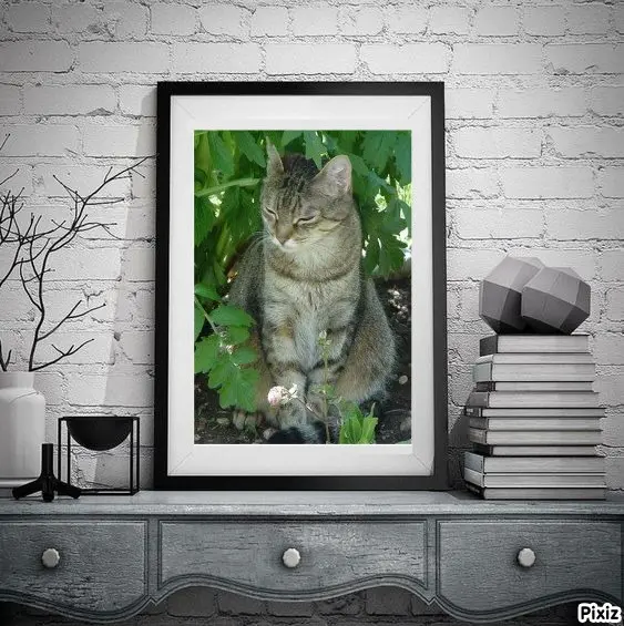 Condolence image of Patricia mit Bunny ❤