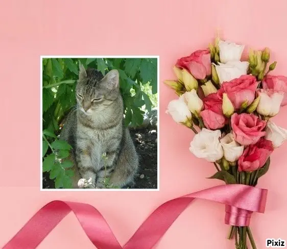 Condolence image of Patricia mit Bunny ❤