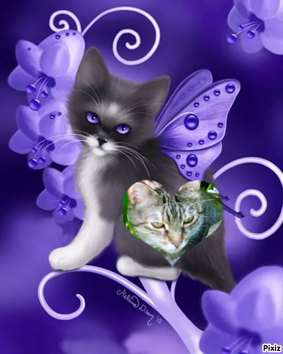 Condolence image of Für das kleine Sternchen Marpelchen ♥️