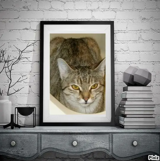 Condolence image of Tanja mit Timmy im Herzen 