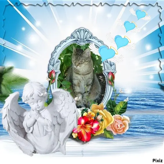 Condolence image of Patricia mit Bunny ❤