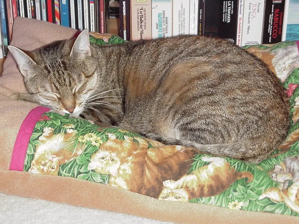 Condolence image of für mein Mädchen