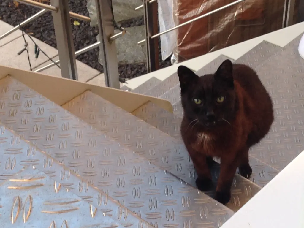 Condolence image of Benny