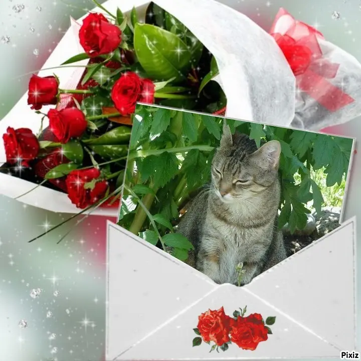 Condolence image of Patricia mit Bunny ❤