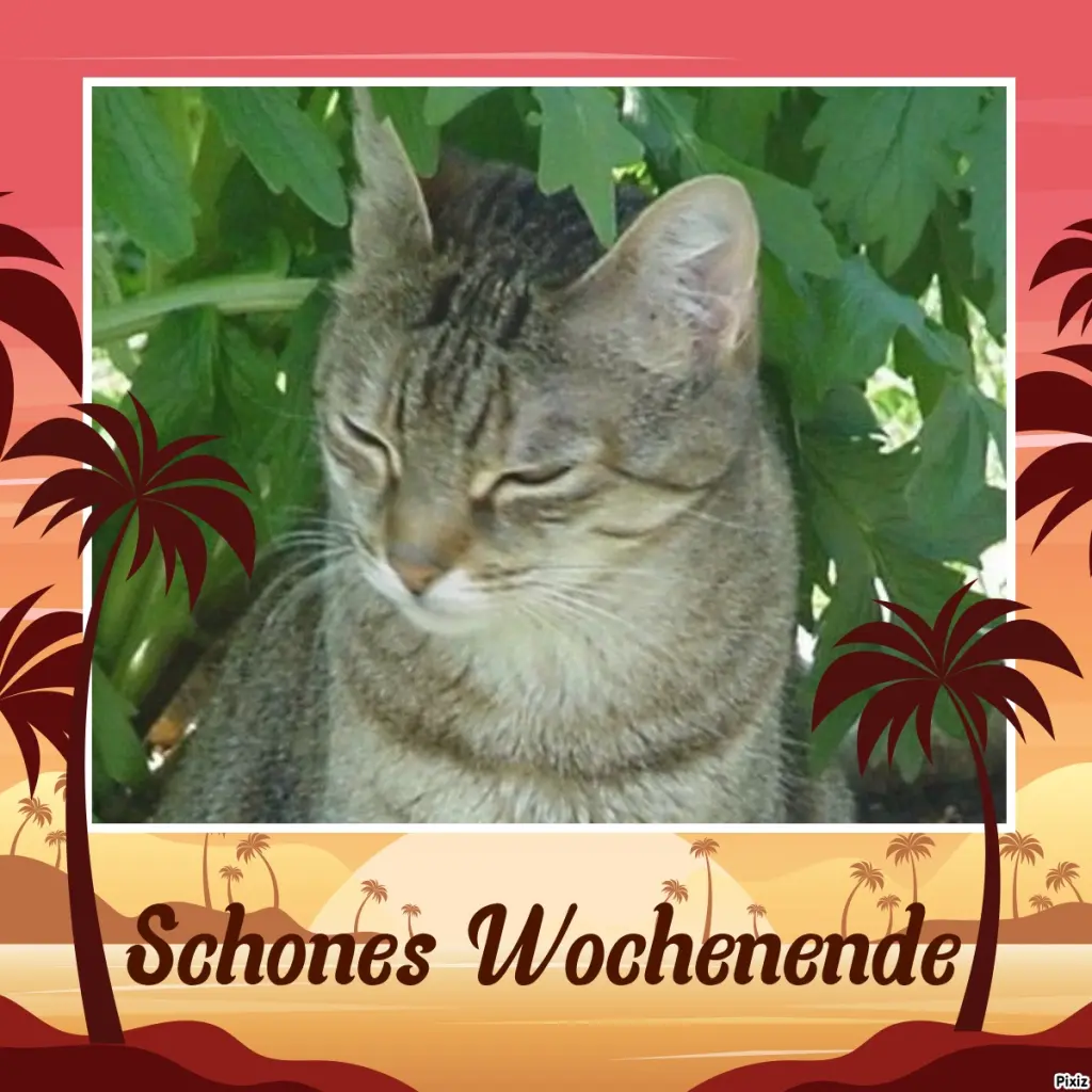 Condolence image of Patricia mit Bunny ❤