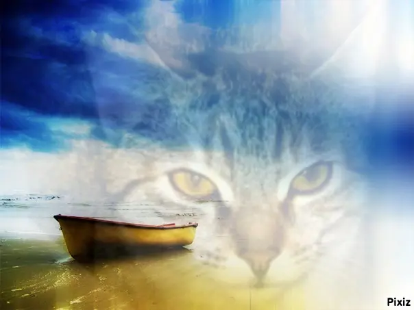 Condolence image of Tanja mit Timmy im Herzen