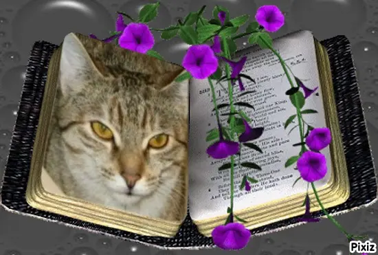 Condolence image of Tanja mit Timmy im Herzen 