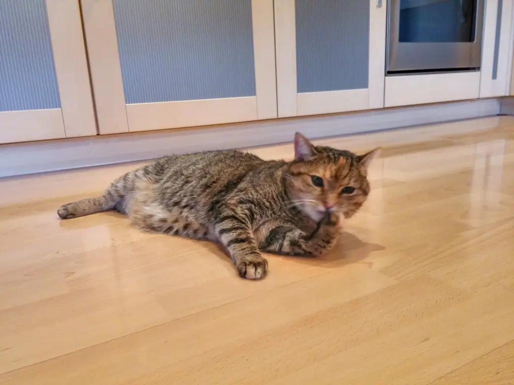 Condolence image of Pauline und Daniela an Christie ❤️