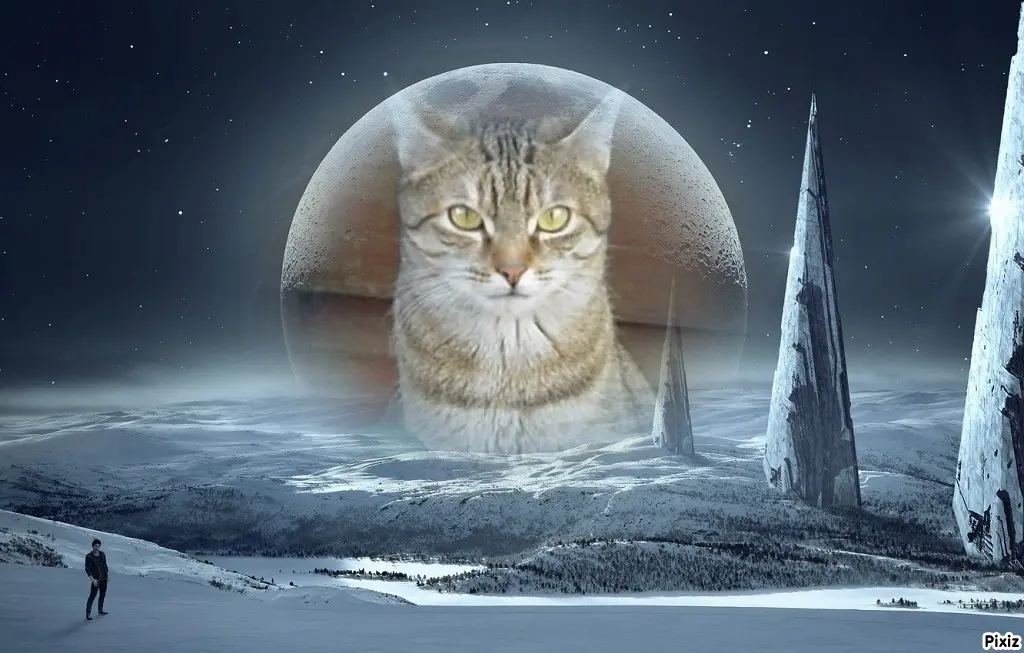 Condolence image of Patricia mit Bunny ❤