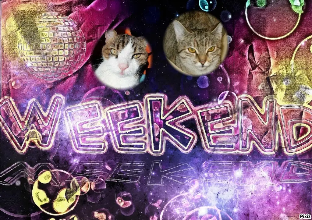 Condolence image of Tanja mit Timmy im Herzen