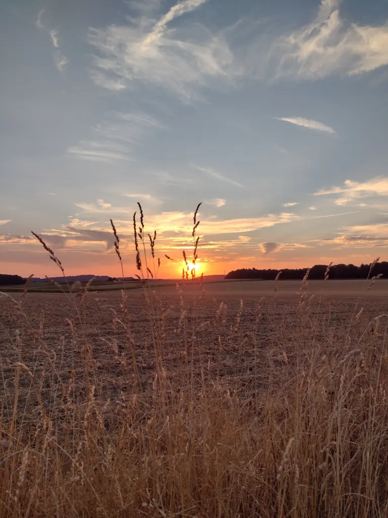 Condolence image of Corinna mit Emma, Pummelchen und anderen Sternlein im ❤️