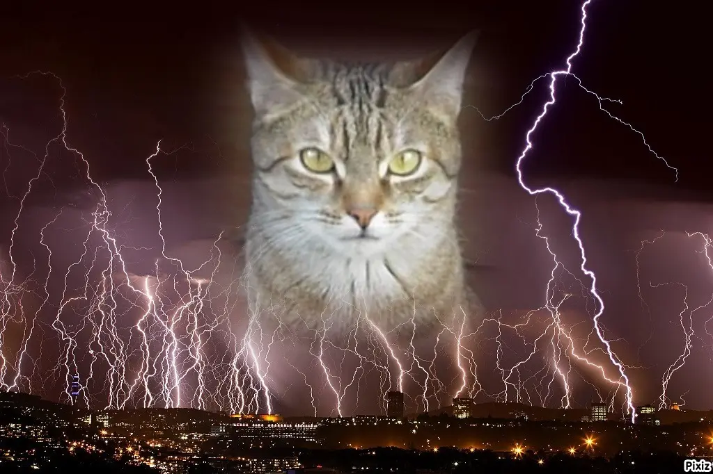 Condolence image of Patricia mit Bunny ❤