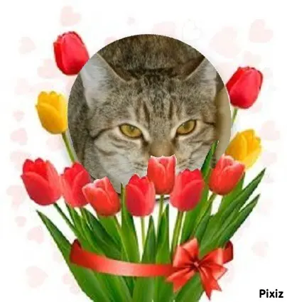 Condolence image of Tanja mit Timmy im Herzen 