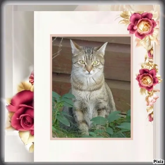 Condolence image of Unbekannt