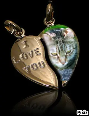 Condolence image of Für klein Marpelchen ♥️