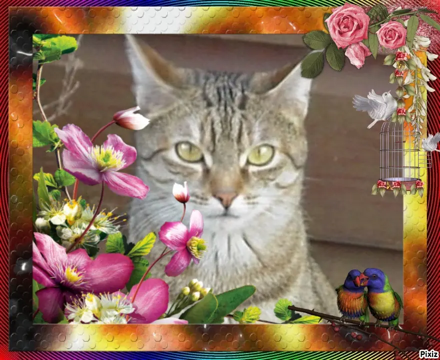 Condolence image of Patricia mit Bunny ❤