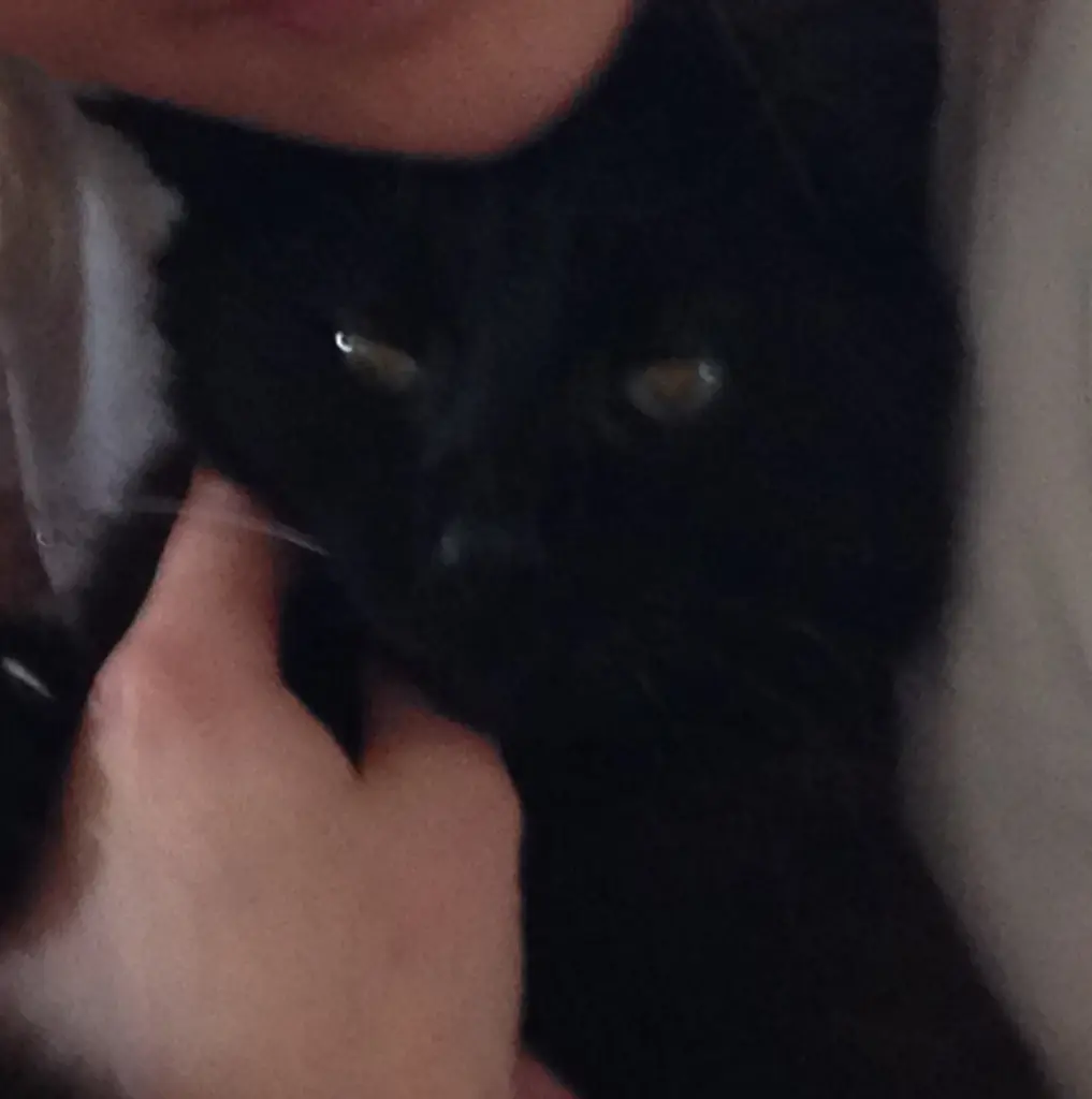 Condolence image of Für Marple