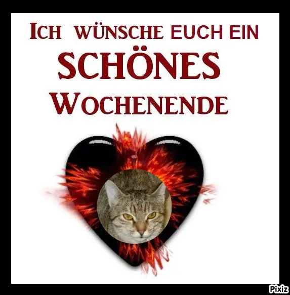 Condolence image of Tanja mit Timmy im Herzen 