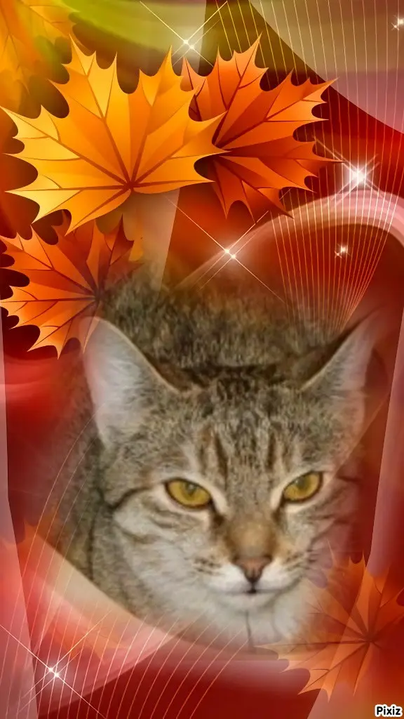 Condolence image of Tanja mit Timmy im Herzen 