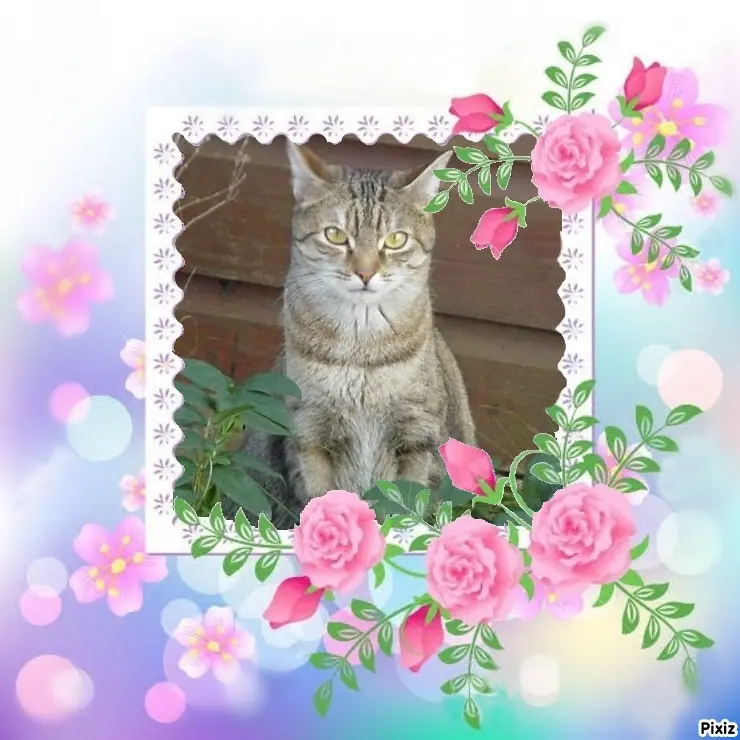 Condolence image of Patricia mit Bunny ❤️ 