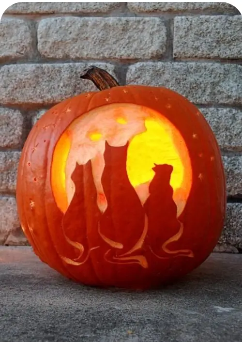 Condolence image of Pauline für Marpelchen ♥️