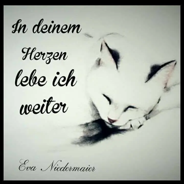 Condolence image of Für das kleine Engelchen Marpelchen ♥️