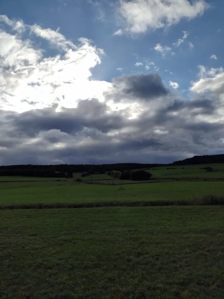 Condolence image of Corinna mit Emma, Pummelchen und anderen Sternleine im Herzen