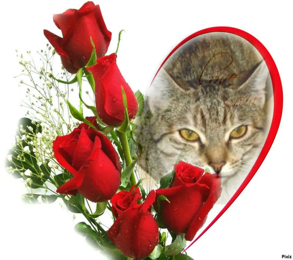 Condolence image of Tanja mit Timmy im Herzen