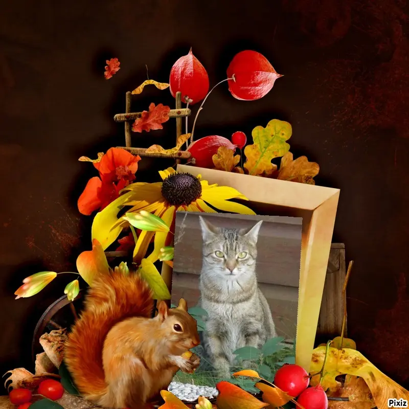 Condolence image of Patricia mit Bunny ❤️