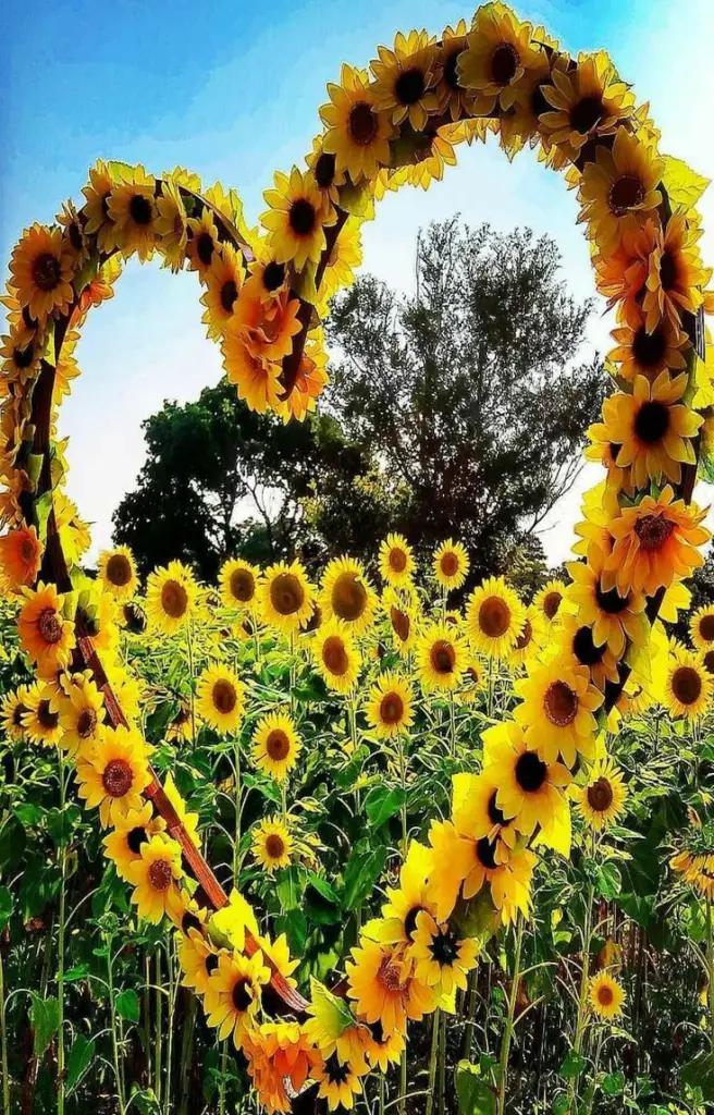 Condolence image of Für das kleine Sternchen Marpelchen ♥️