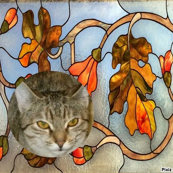 Condolence image of Tanja mit Timmy im Herzen 