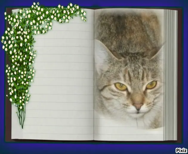 Condolence image of Tanja mit Timmy im Herzen 