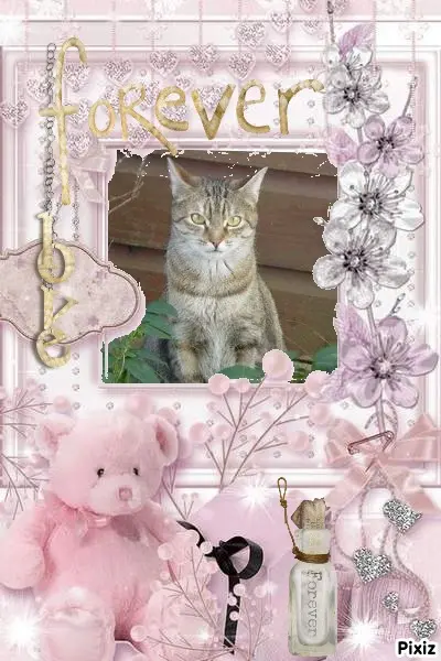 Condolence image of Patricia mit Bunny ❤️ 