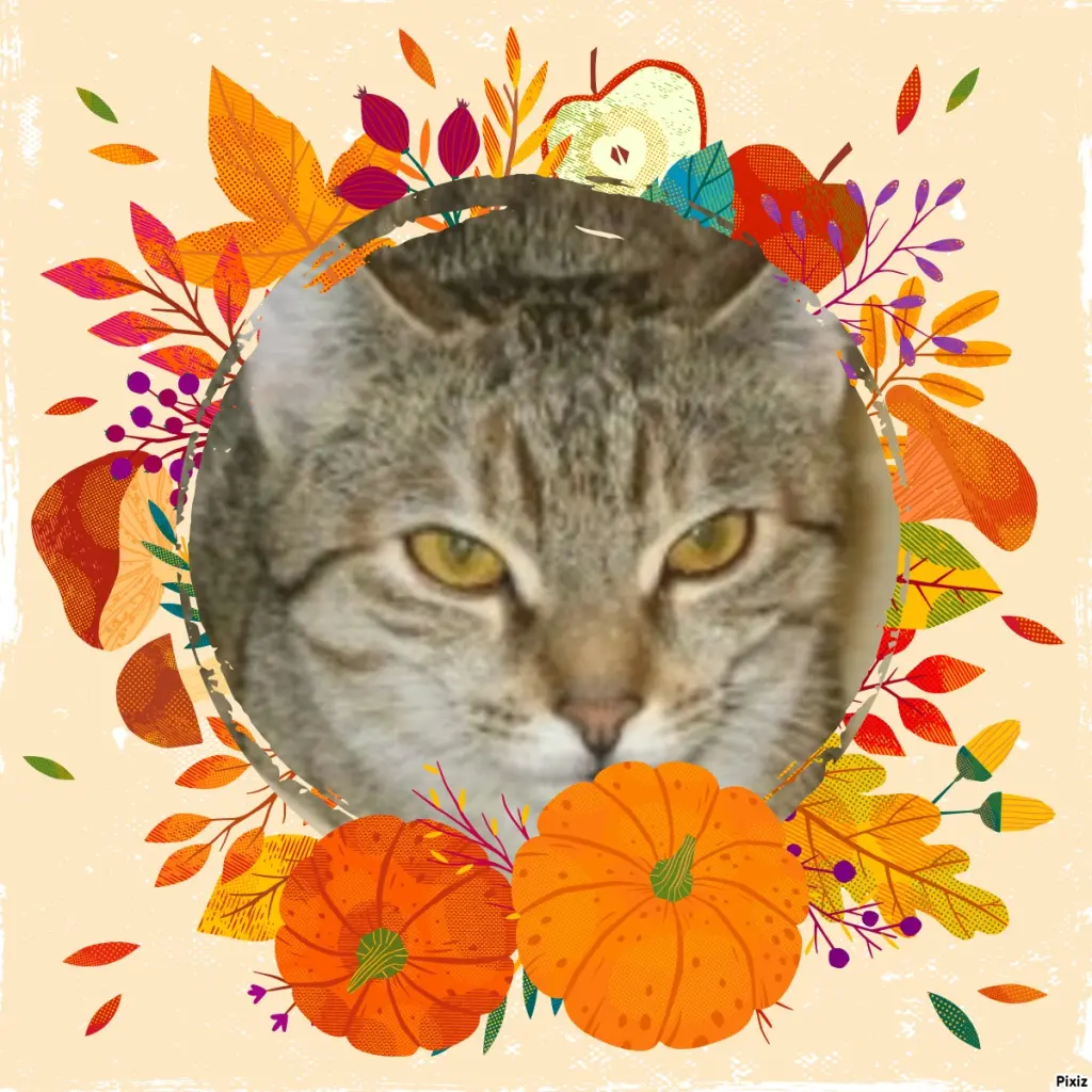 Condolence image of Tanja mit Timmy im Herzen 