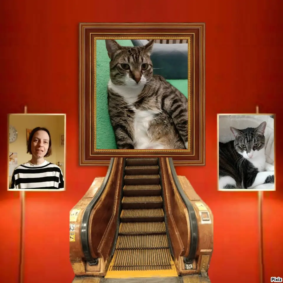 Condolence image of Tanja mit Timmy im Herzen