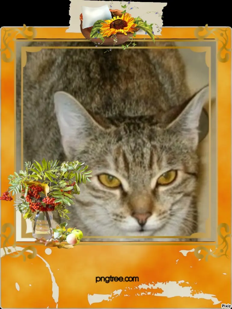 Condolence image of Tanja mit Timmy im Herzen